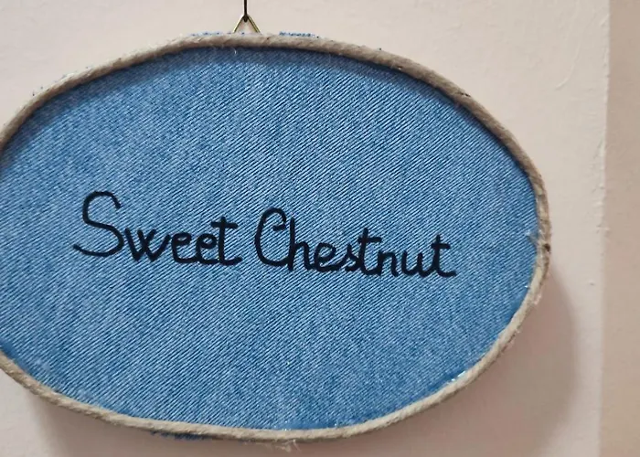 10 Apartmants Olimpia Mir Apartment