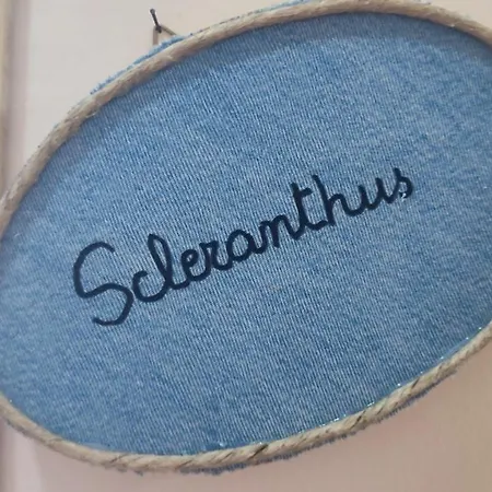 Apartment 10 Apartmants Olimpia Mir